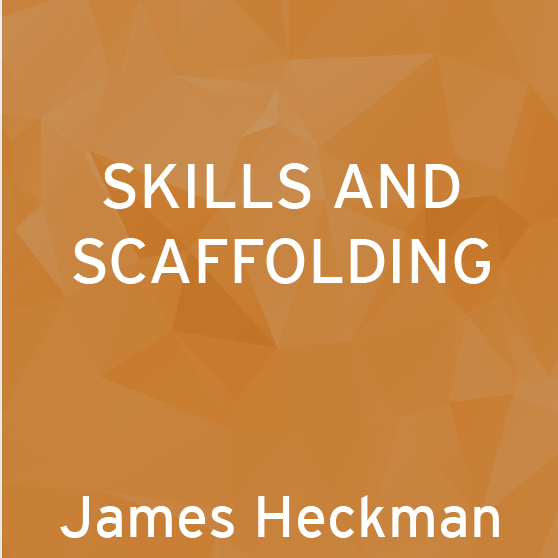 Skills and Scaffolding